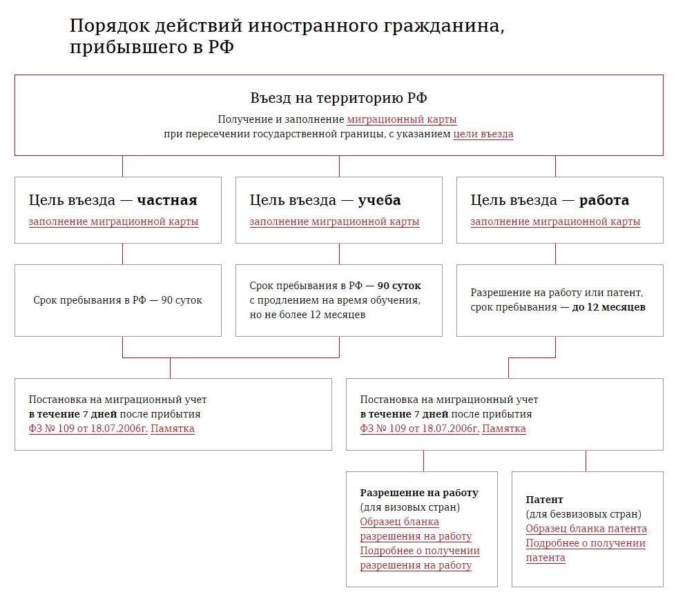 Миграционный карта на сколько срок для таджикистана