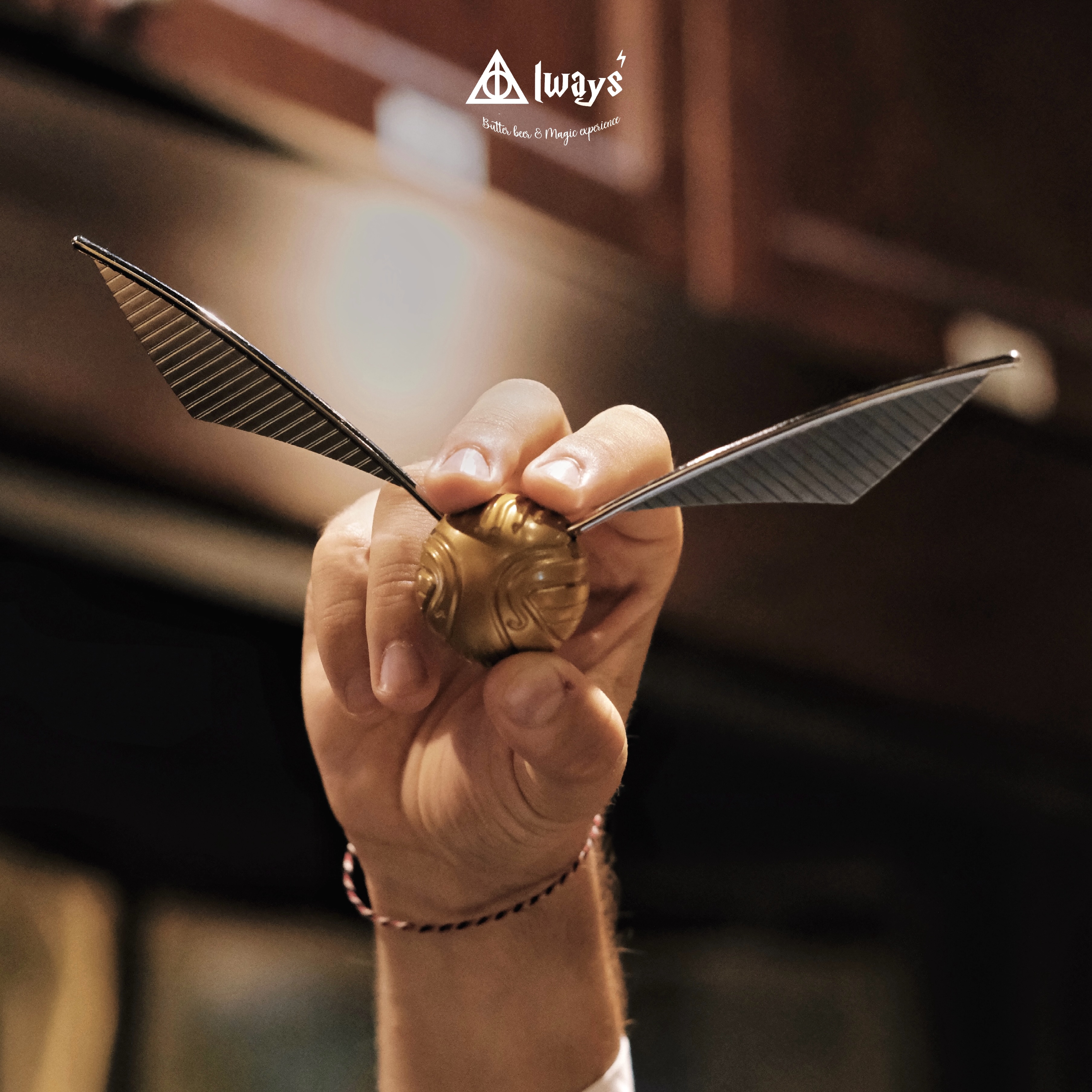 Mô hình bóng Snitch