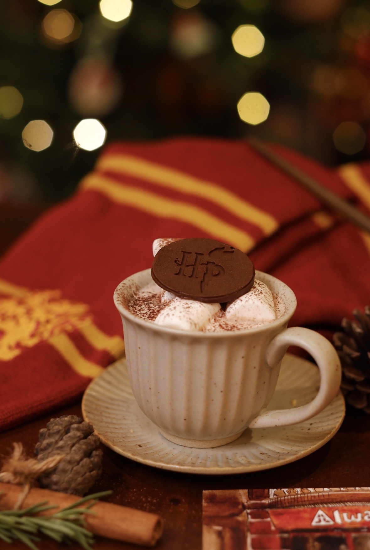 Hot Molly’s Chocolate