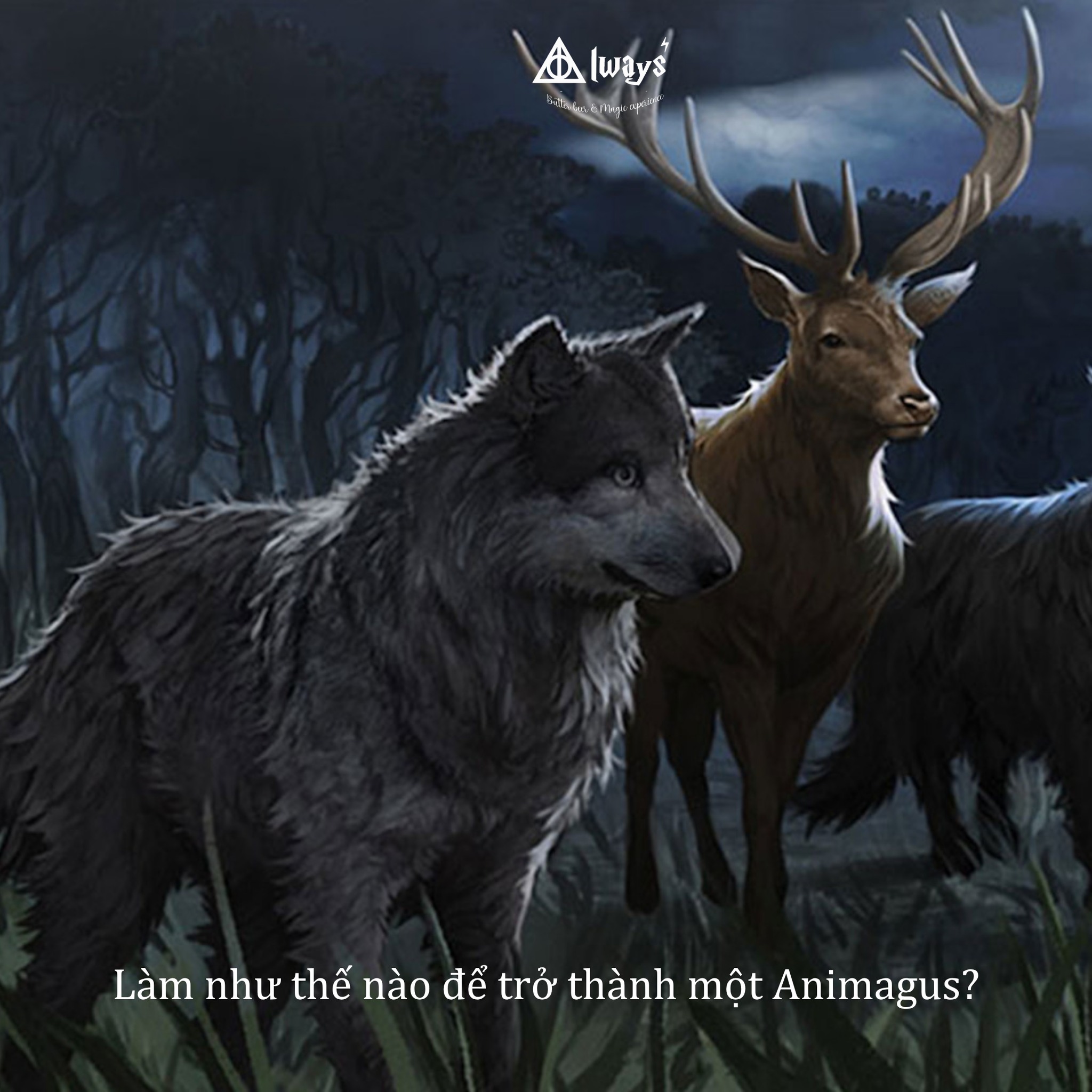 Làm như thế nào để trở thành một Animagus?