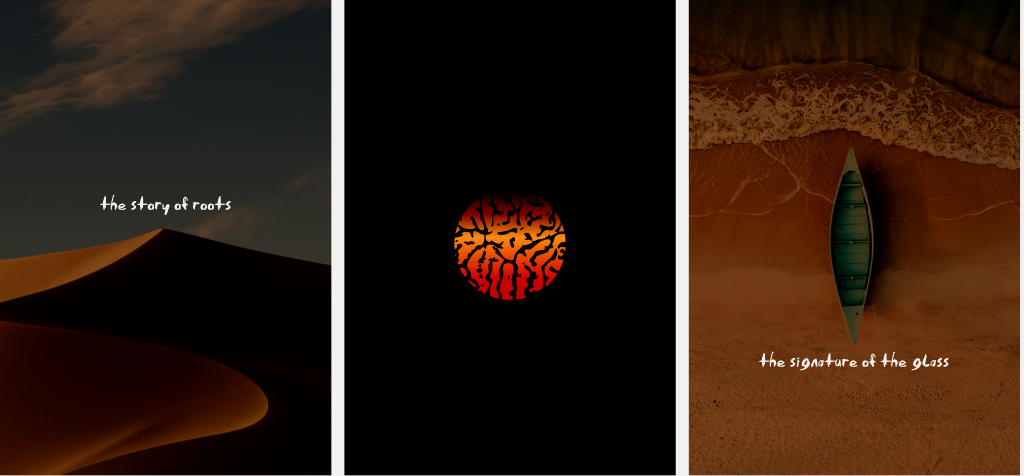 Local — story of roots
