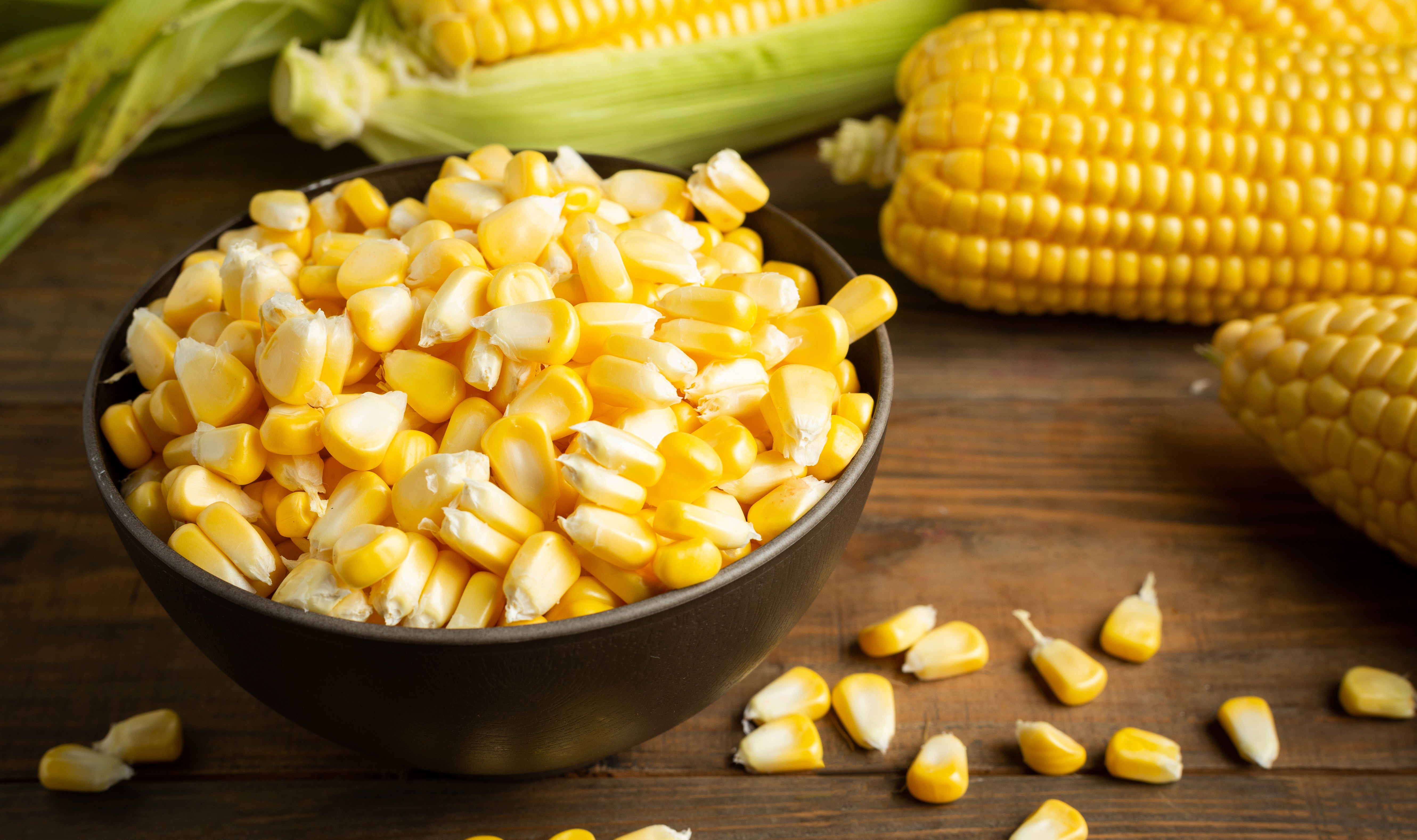 Premium Quality Corn Export