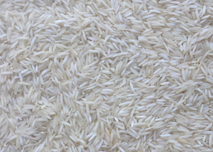 1401 White Basmati 1401 White Basmati