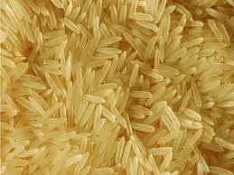 Sharbati Golden Rice Sharbati Golden Rice