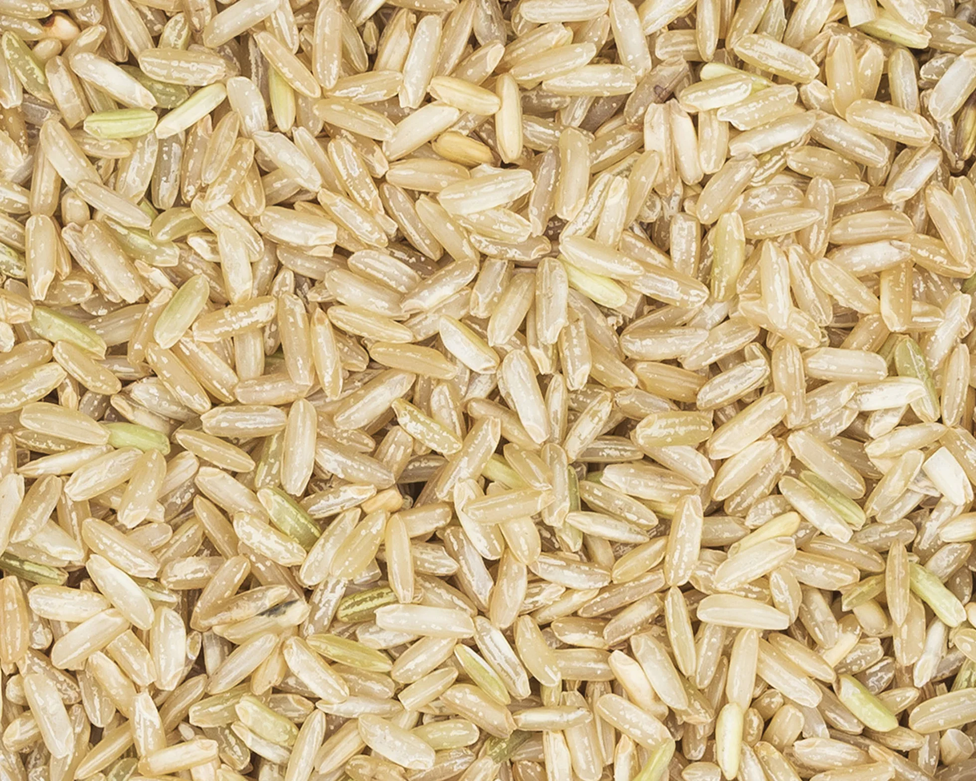 Organic Jasmine Rice Organic Jasmine Rice