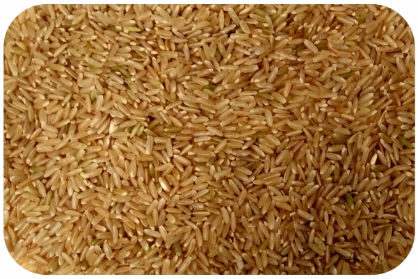 Organic Short Grain Rice Organic Short Grain Rice