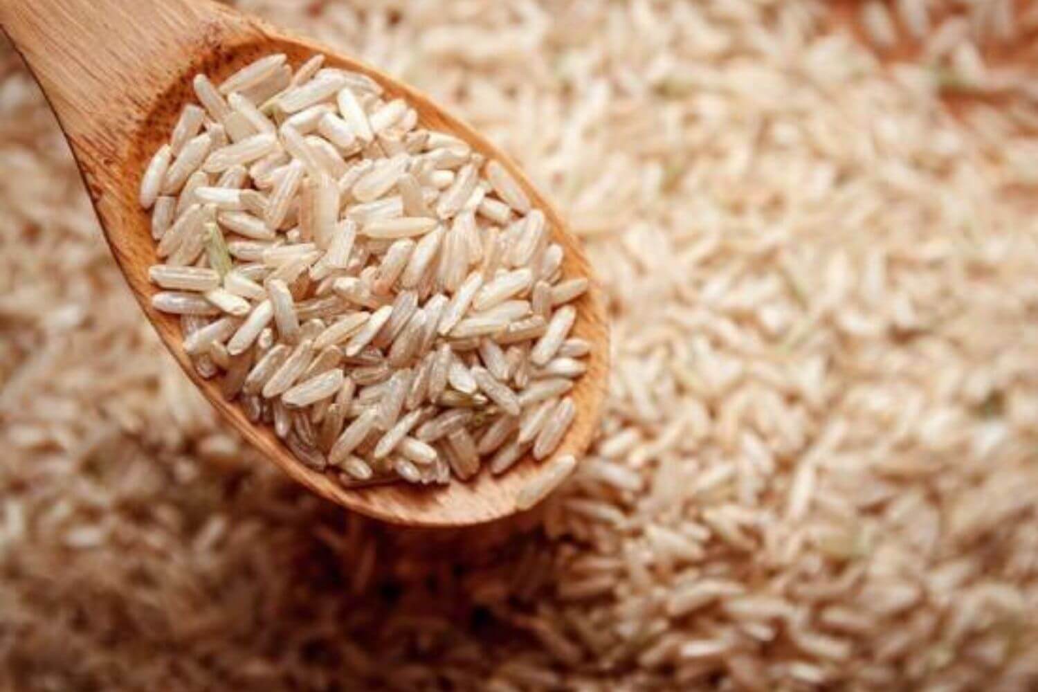 Organic Ponni Rice Organic Ponni Rice