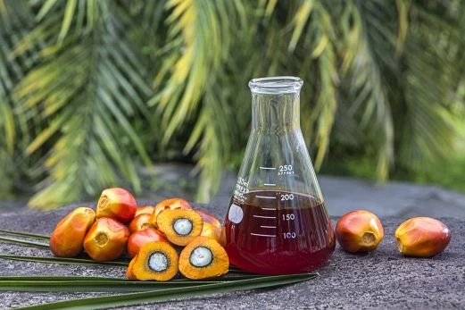 Crude Palm Oil Crude Palm Oil