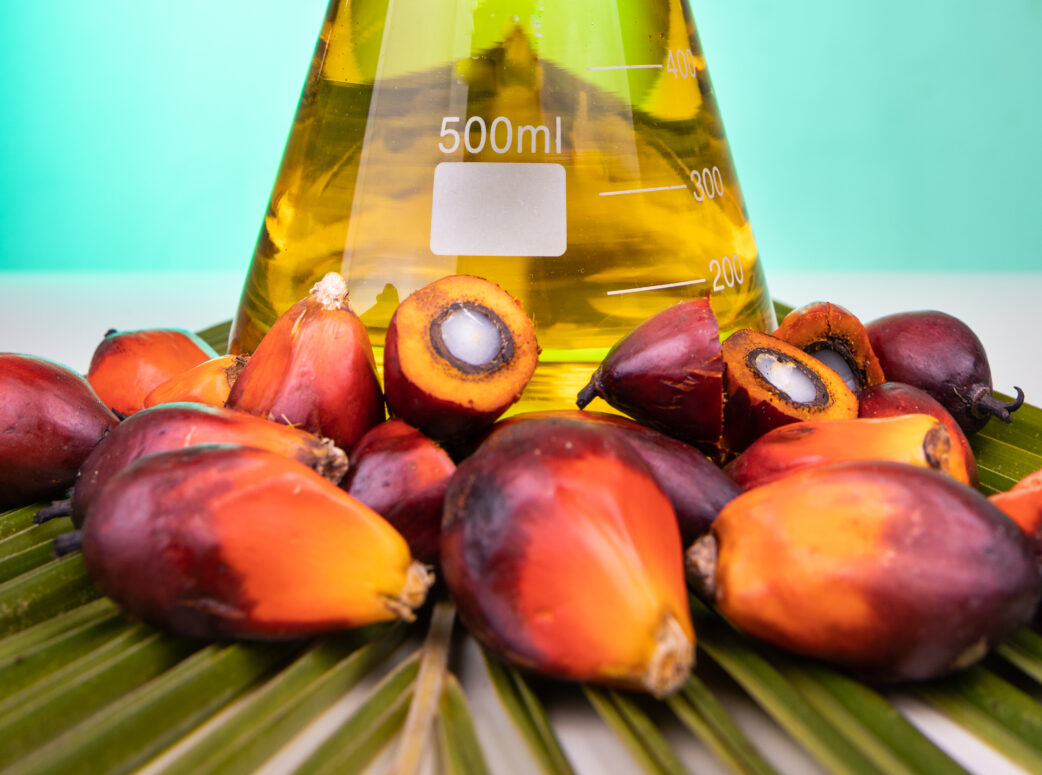 RBD Palm Olein CP8 Export RBD Palm Olein CP8 Export