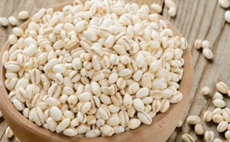 Barley Barley Export