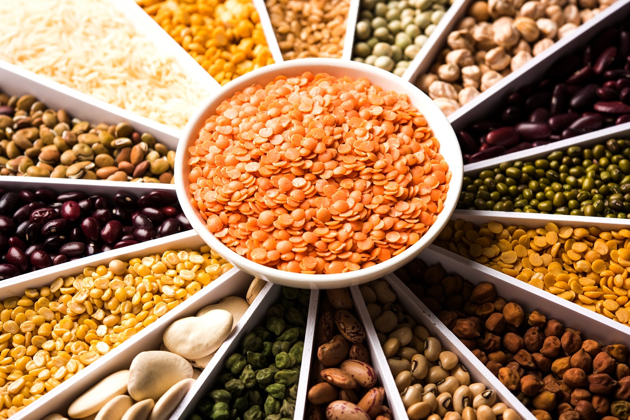 Pulses Pulses Export