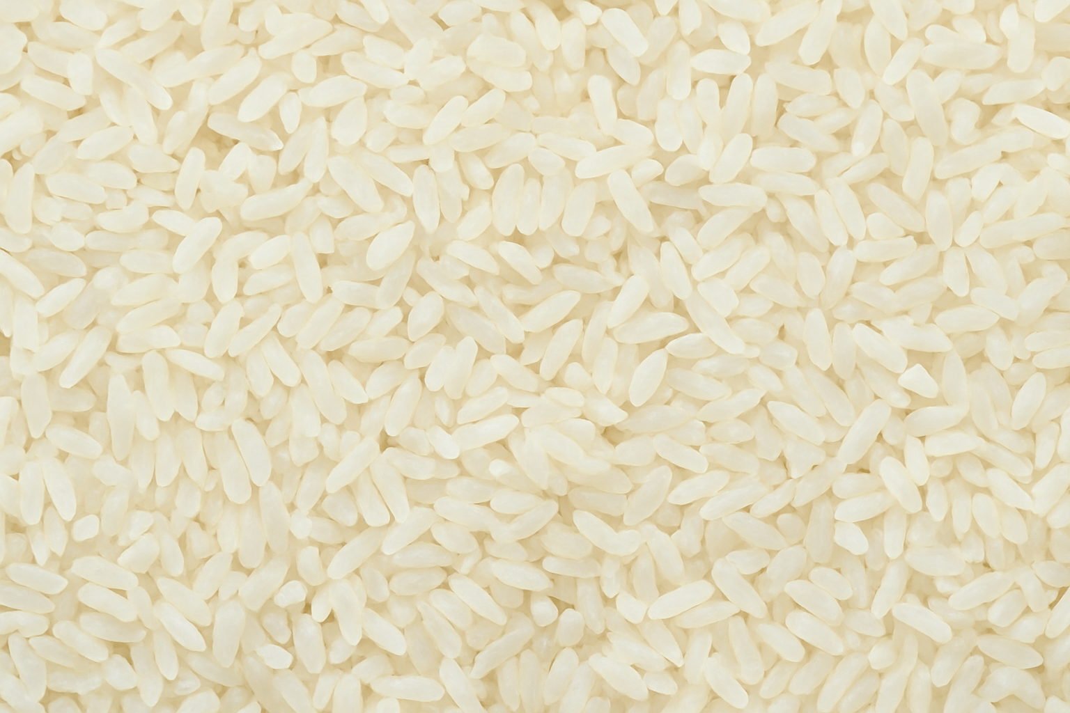 IR64 Broken Rice IR64 Broken Rice