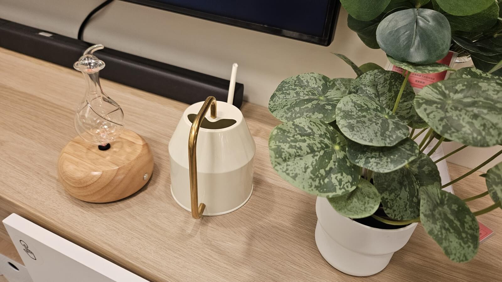 A wood-base Nebulizing Diffuser beside a green plant on a clean shelf