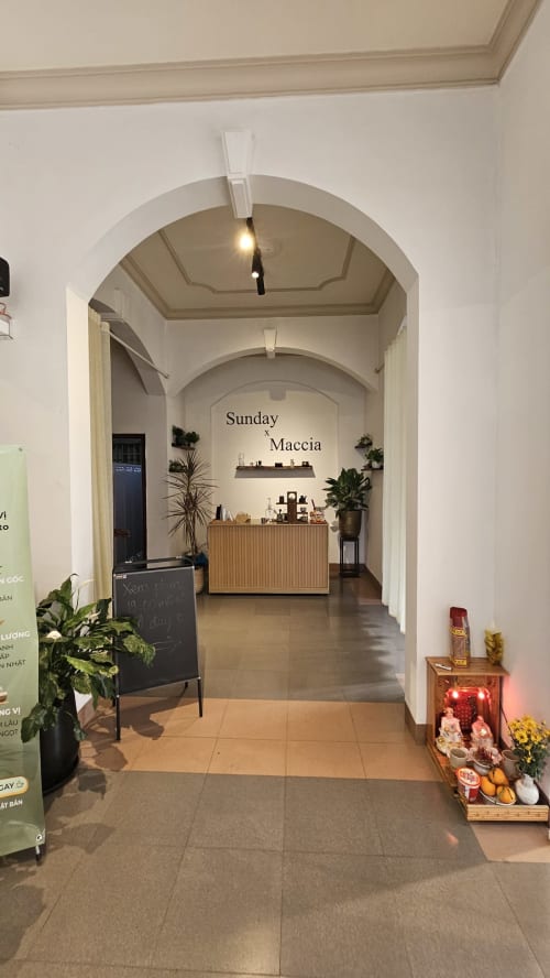 MACCIA MATCHA