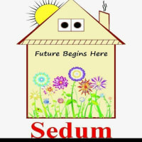 Sedum Rehabilitation Centre logo