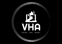 Virtual Hub Agency logo