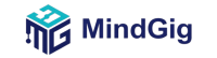 Best Software House in Peshawar | MindGig