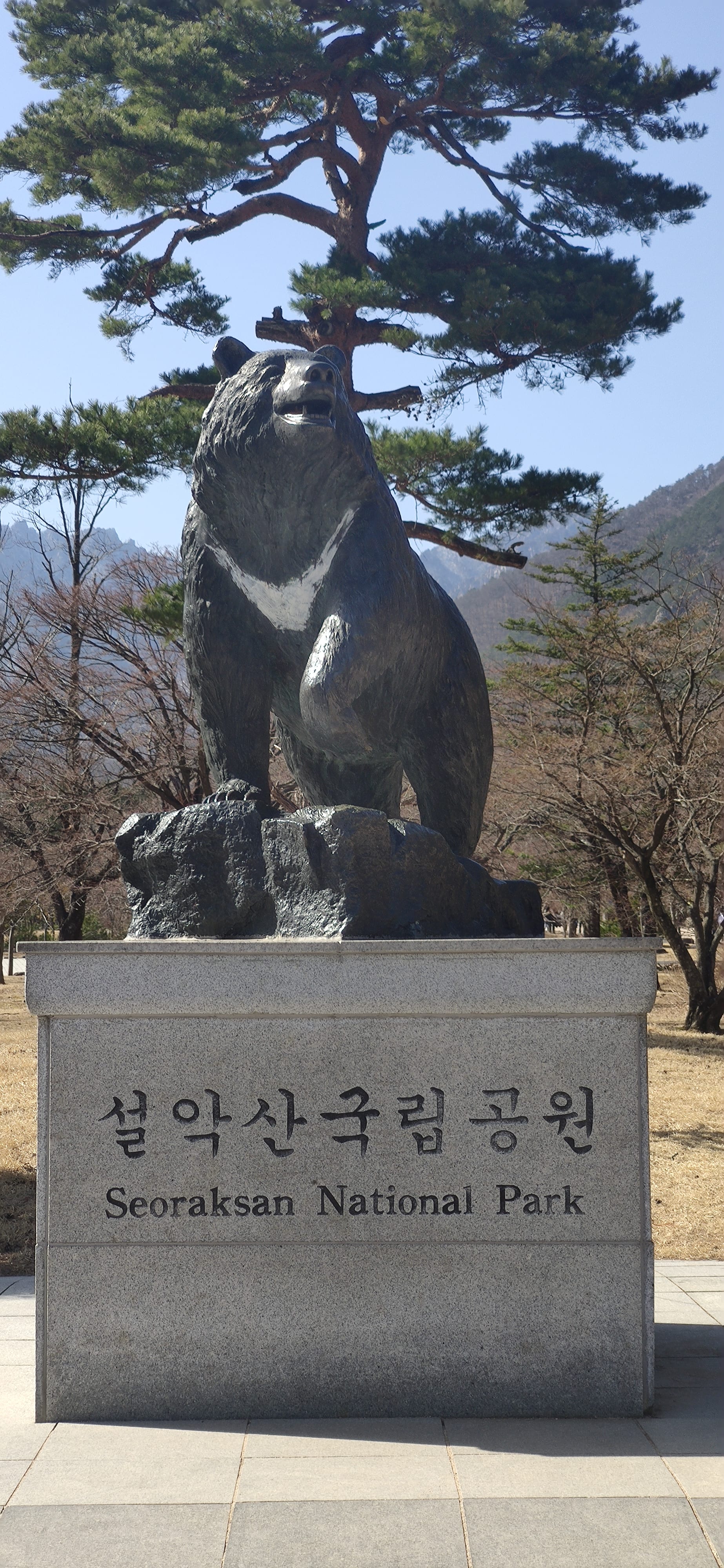 https://res.cloudinary.com/di1kjinja/image/upload/q_auto/v1677830966/Sokcho/Enter_park.jpg