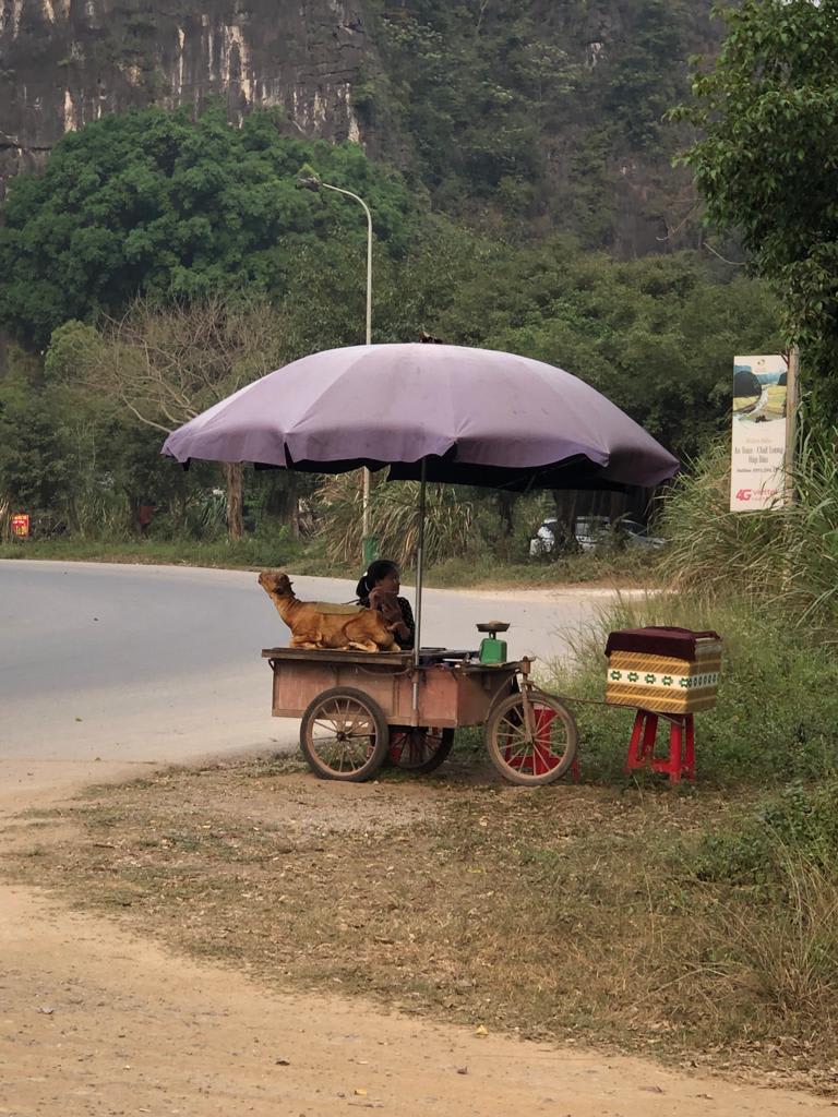 Désolé les âmes sensibles