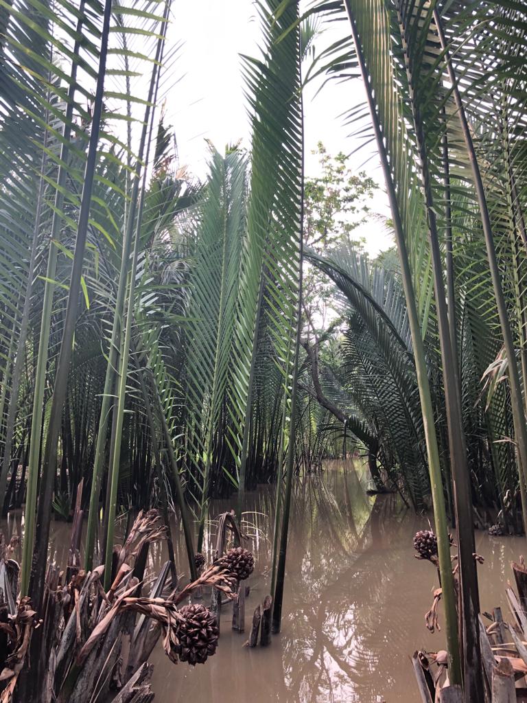 Paysages très tropicales