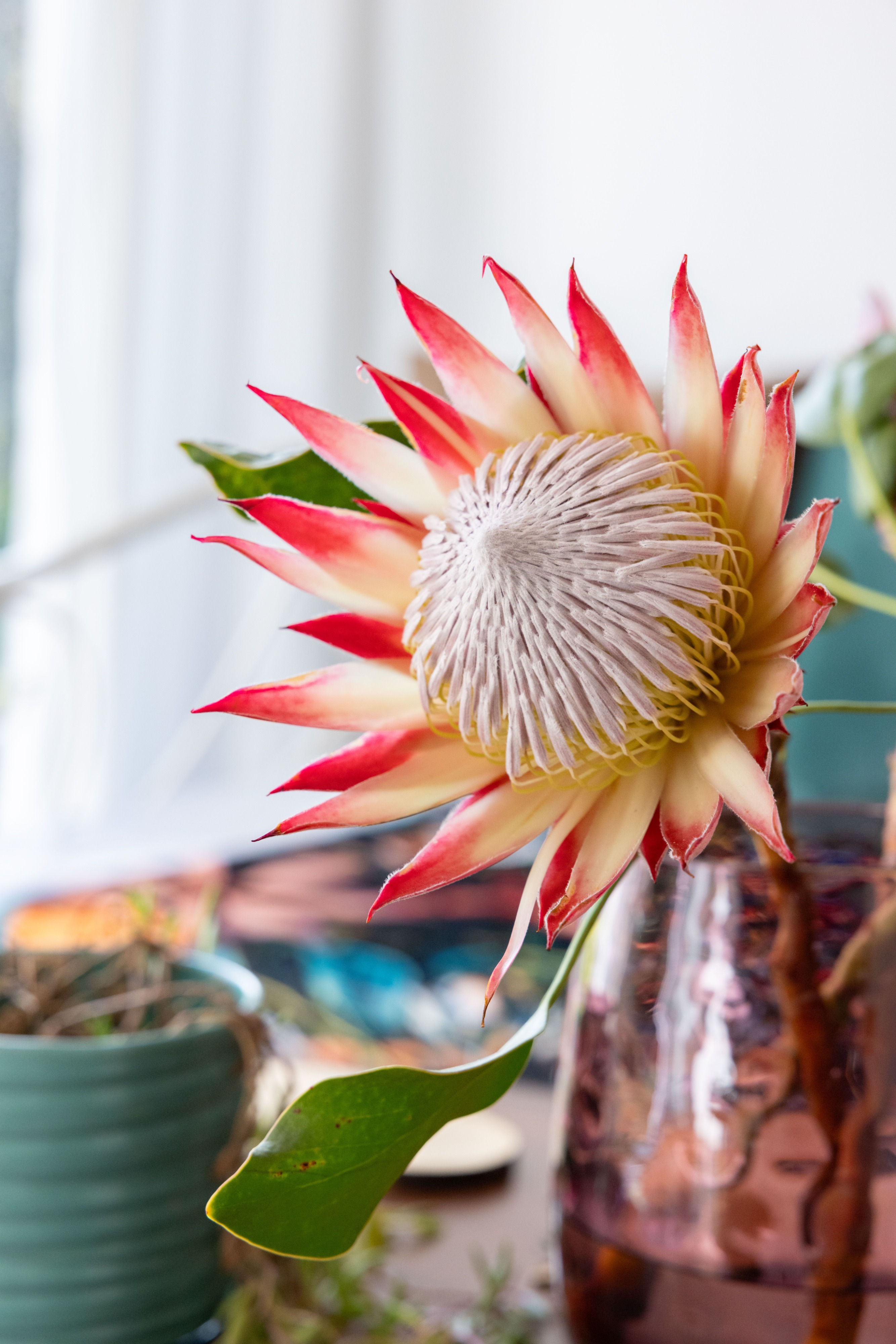 Make your rental property stand out with stunning, high-quality photography that showcases its best features.