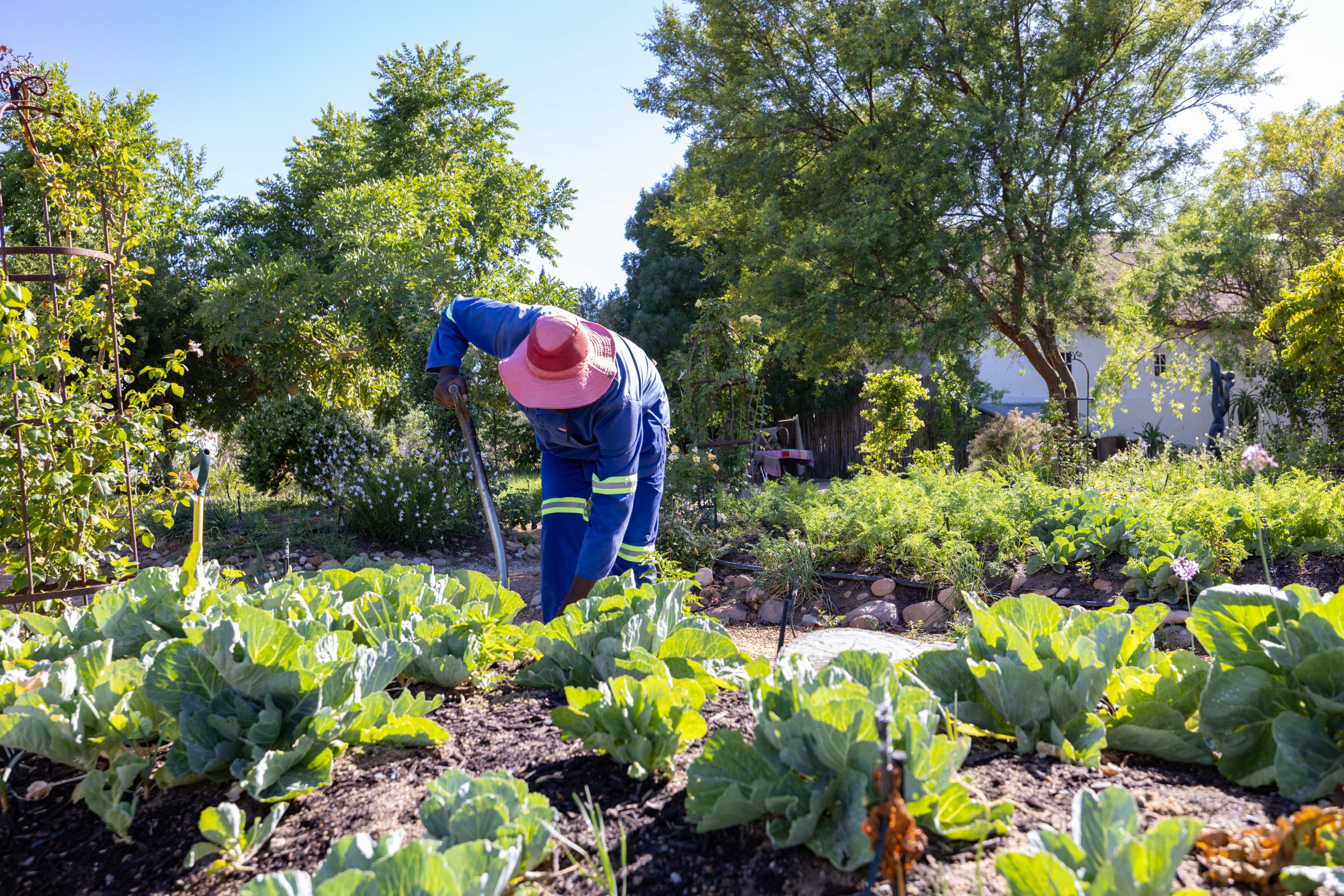 Farm Photography