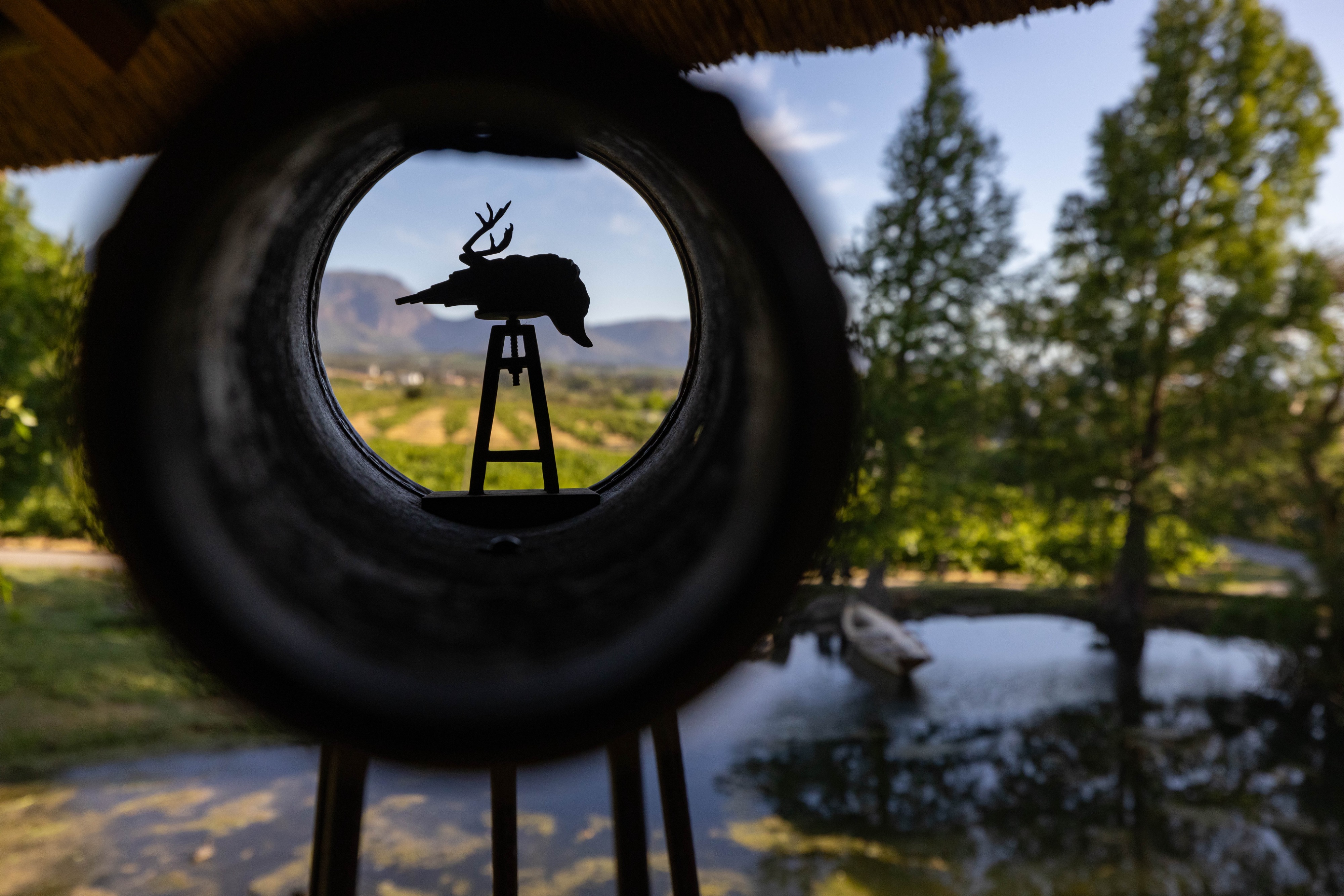 Farm Photography