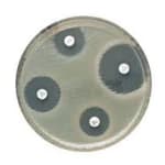 Oxoid™ Antimicrobial Susceptibility Disks