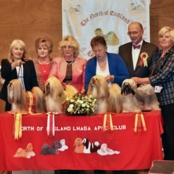 2014 Championship Show Main Winners