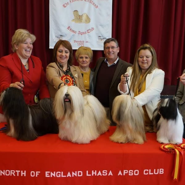 2018 Open Show Main Winners