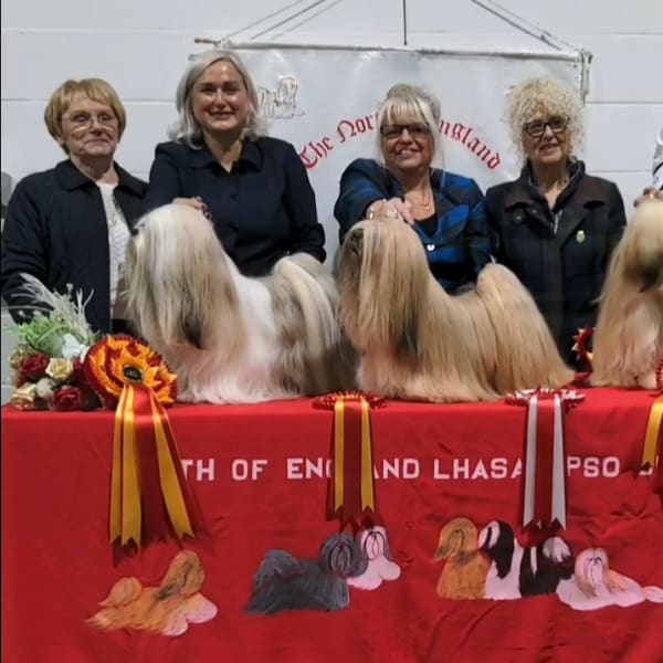 2022 Championship Show Main Winners Judge Liz Dunhill