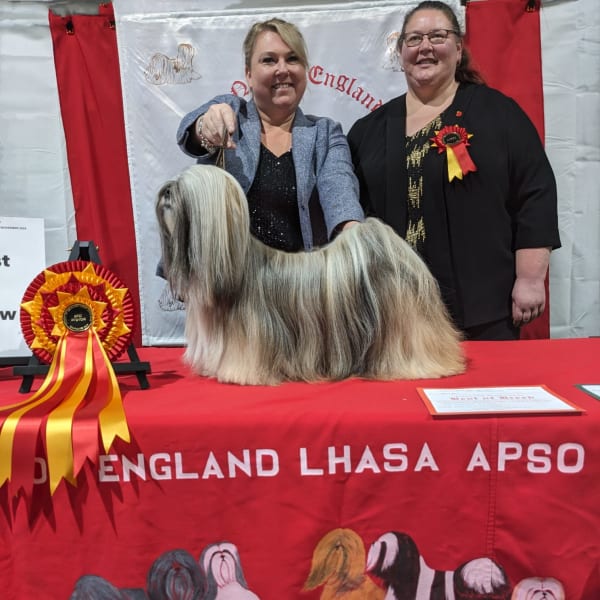 2024 Championship Show BIS Judge Miss Pamela Hughes