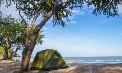 Whale Watching Basecamp