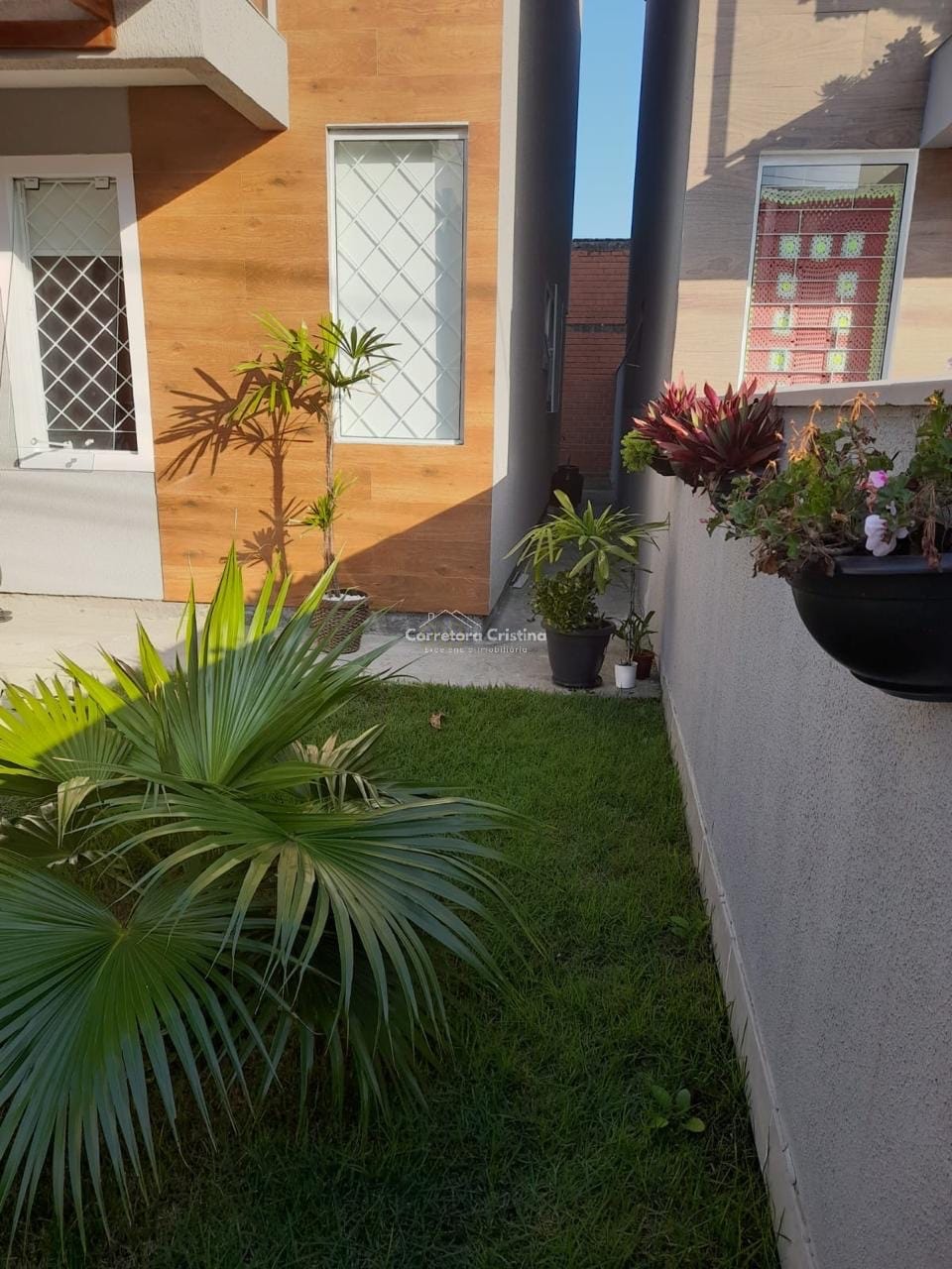 Imagem 2