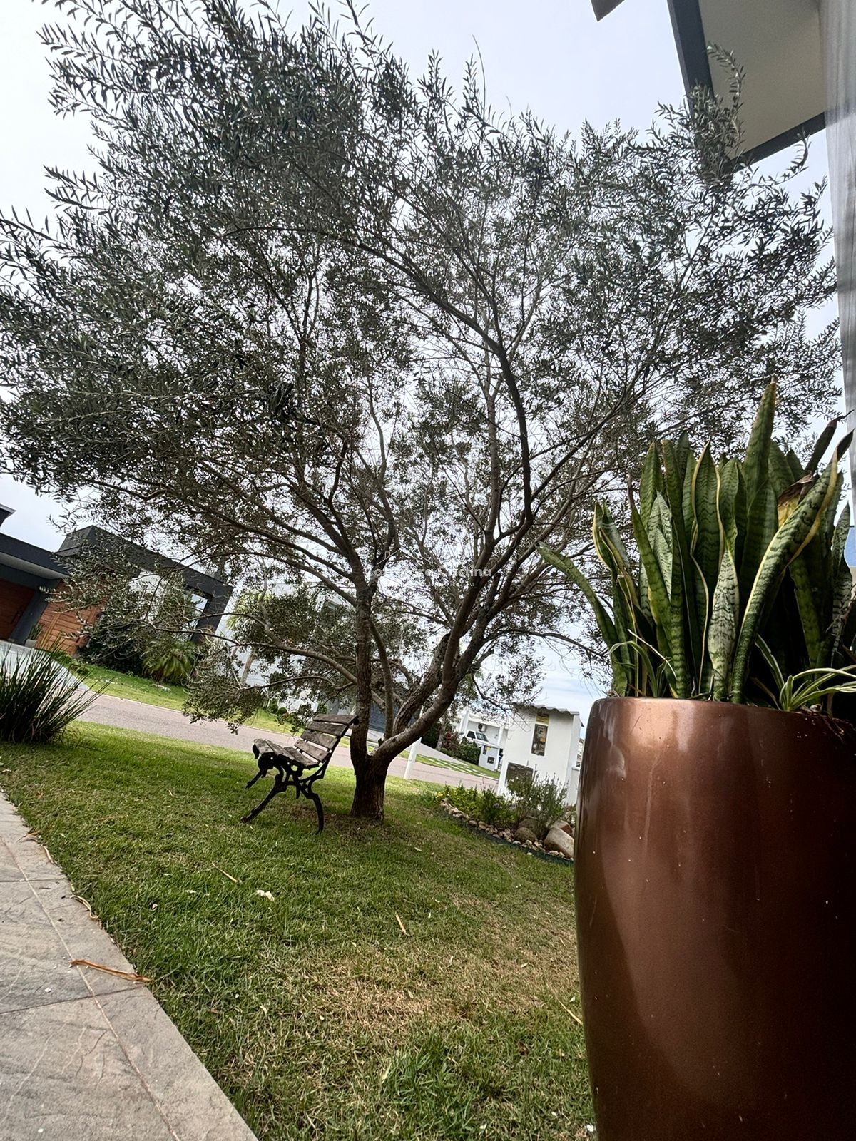 Imagem 4