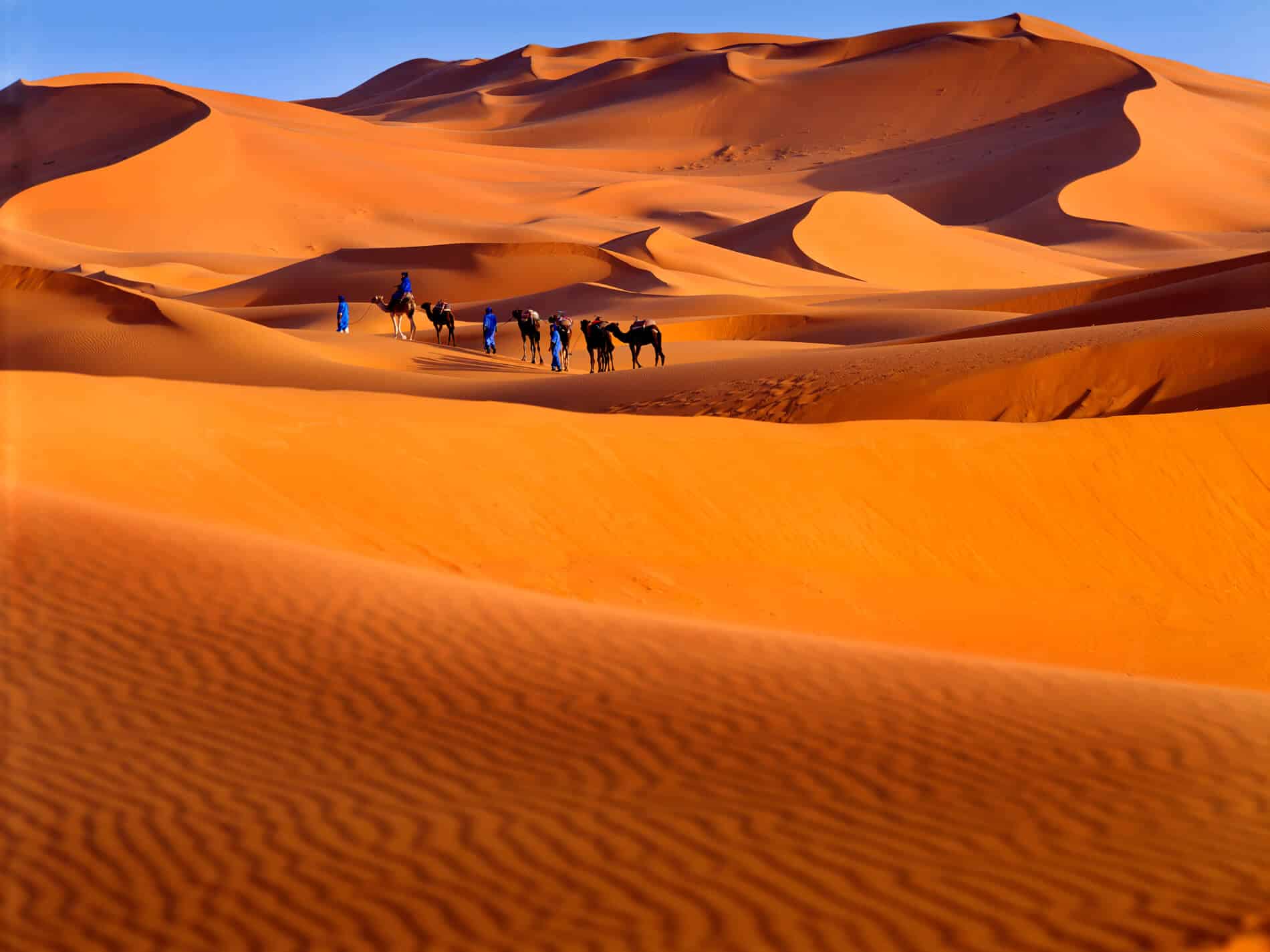 Sahara Dunes
