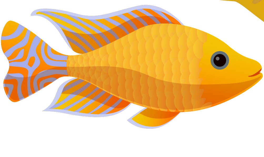 Ikan Galak
