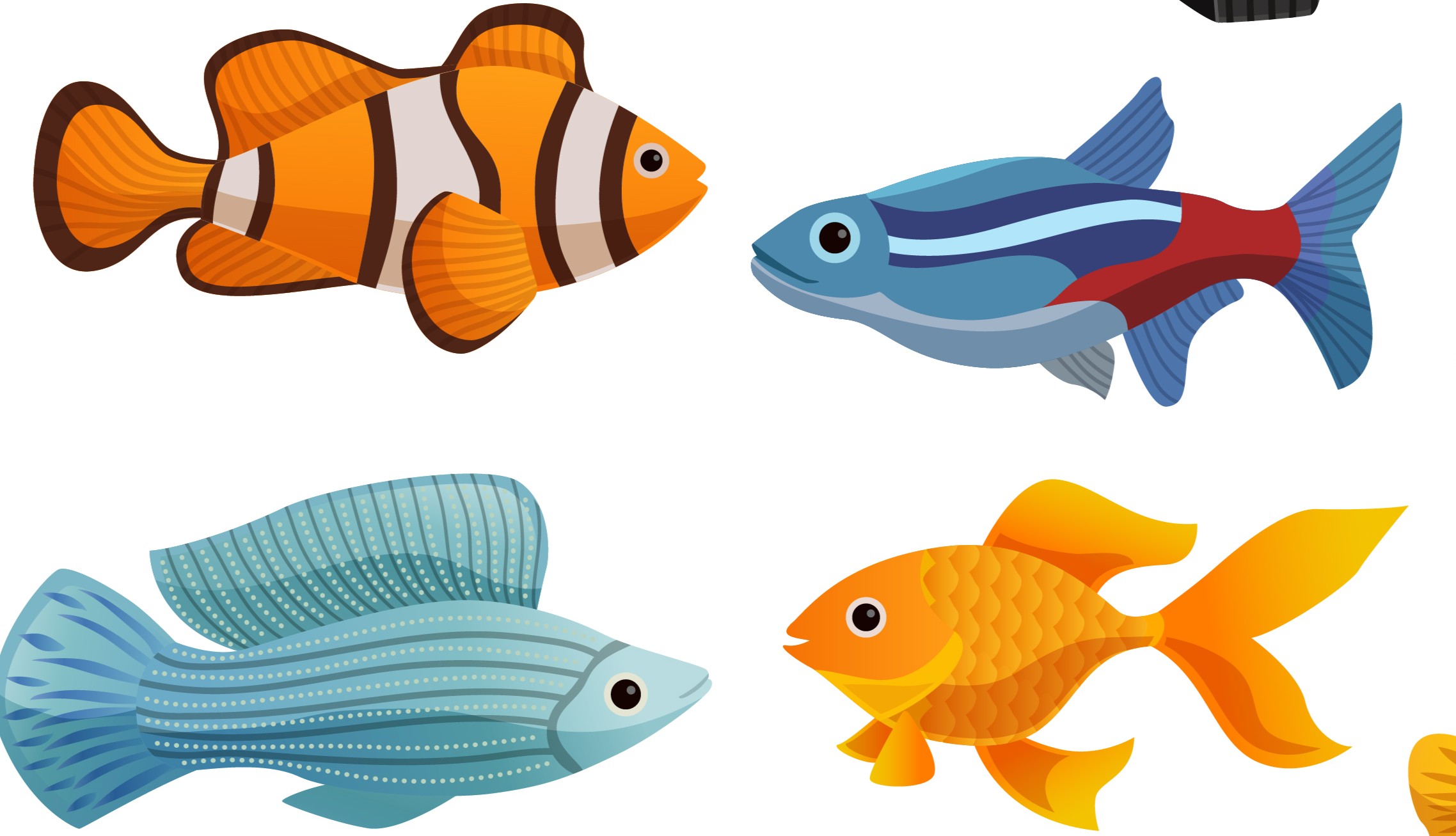 Ikan Hias