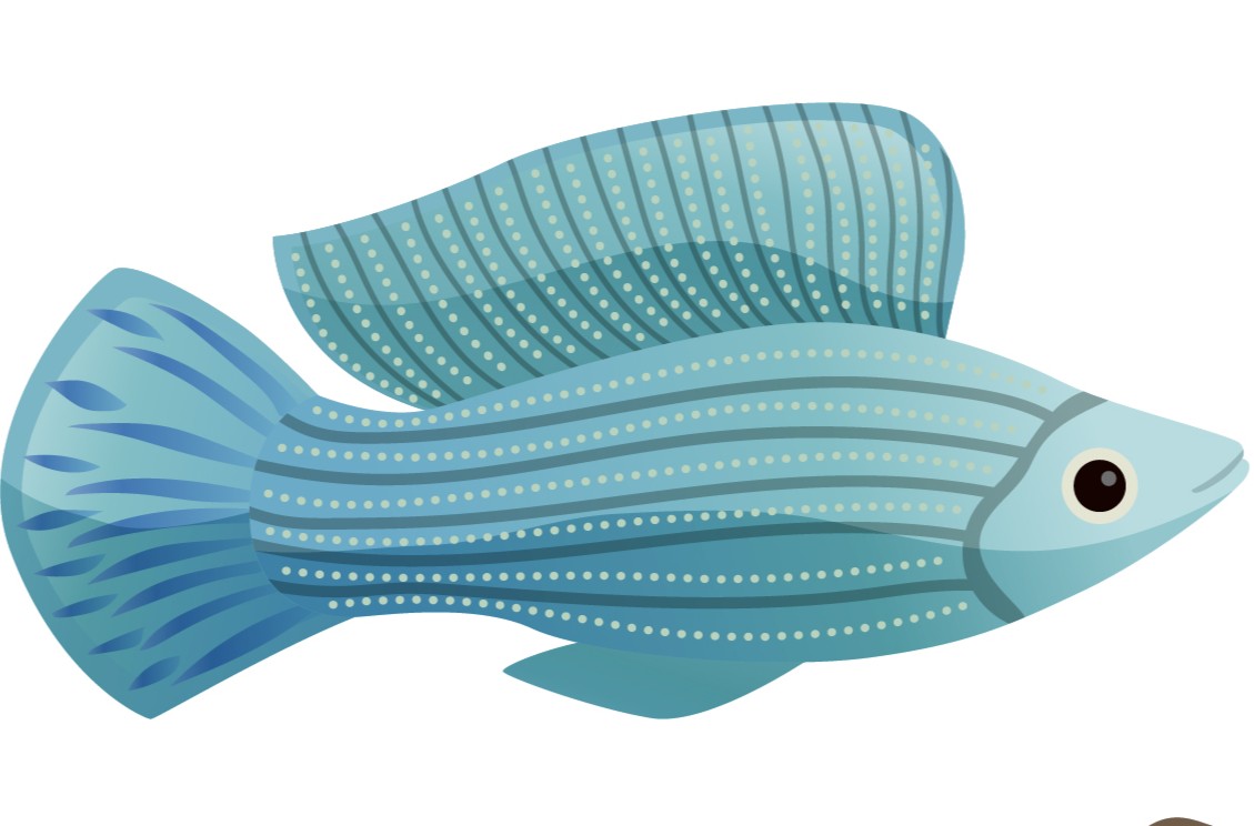 Ikan Favorit