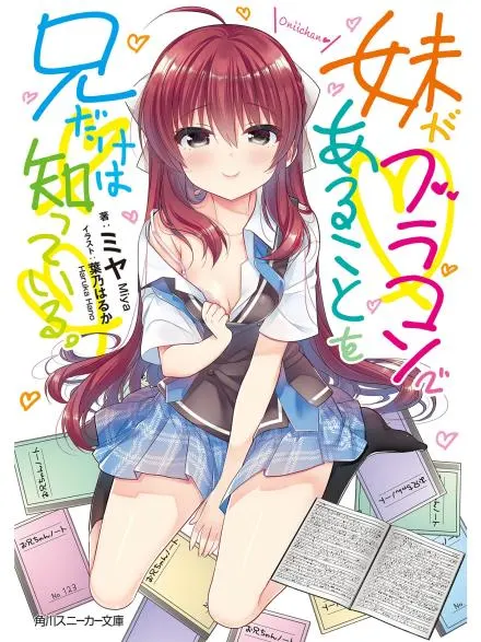 Only I Know that My Sister has a Brother Complex