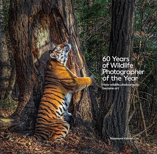 Years Of Wildlife Photographer