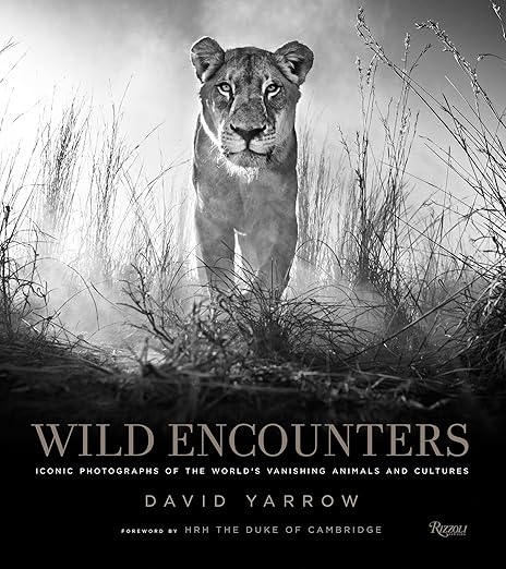 Wild Encounters Iconic Photographs