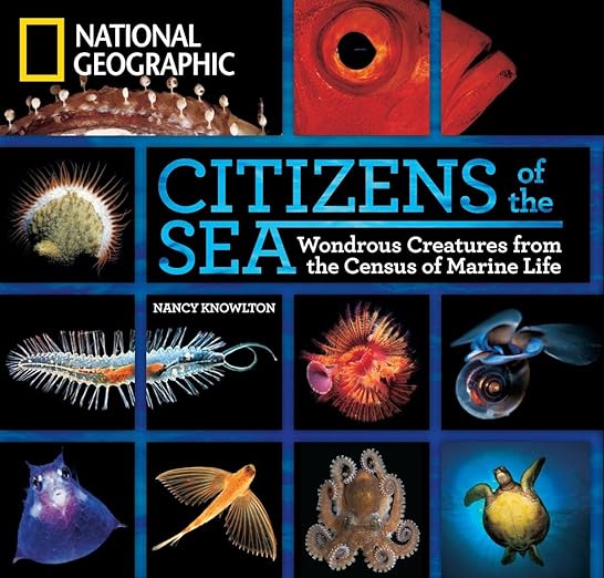 Citizens Of The Sea
