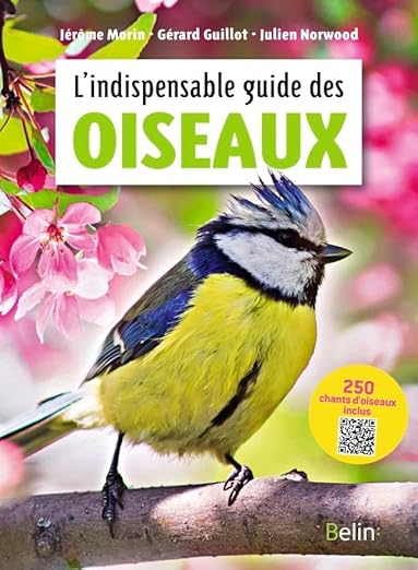 Lindispensable Guide Des Oiseaux