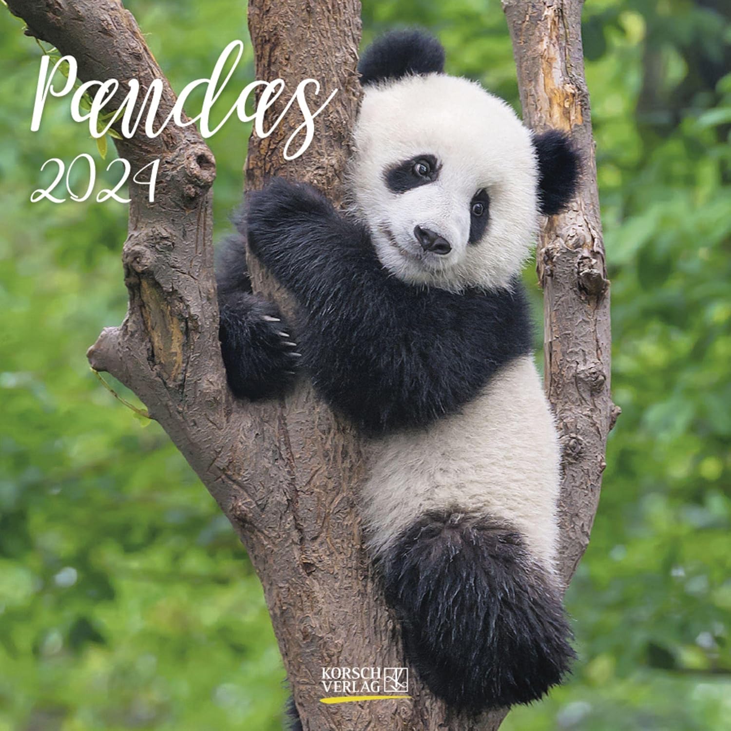 Pandas Calendrier Avec Brochures