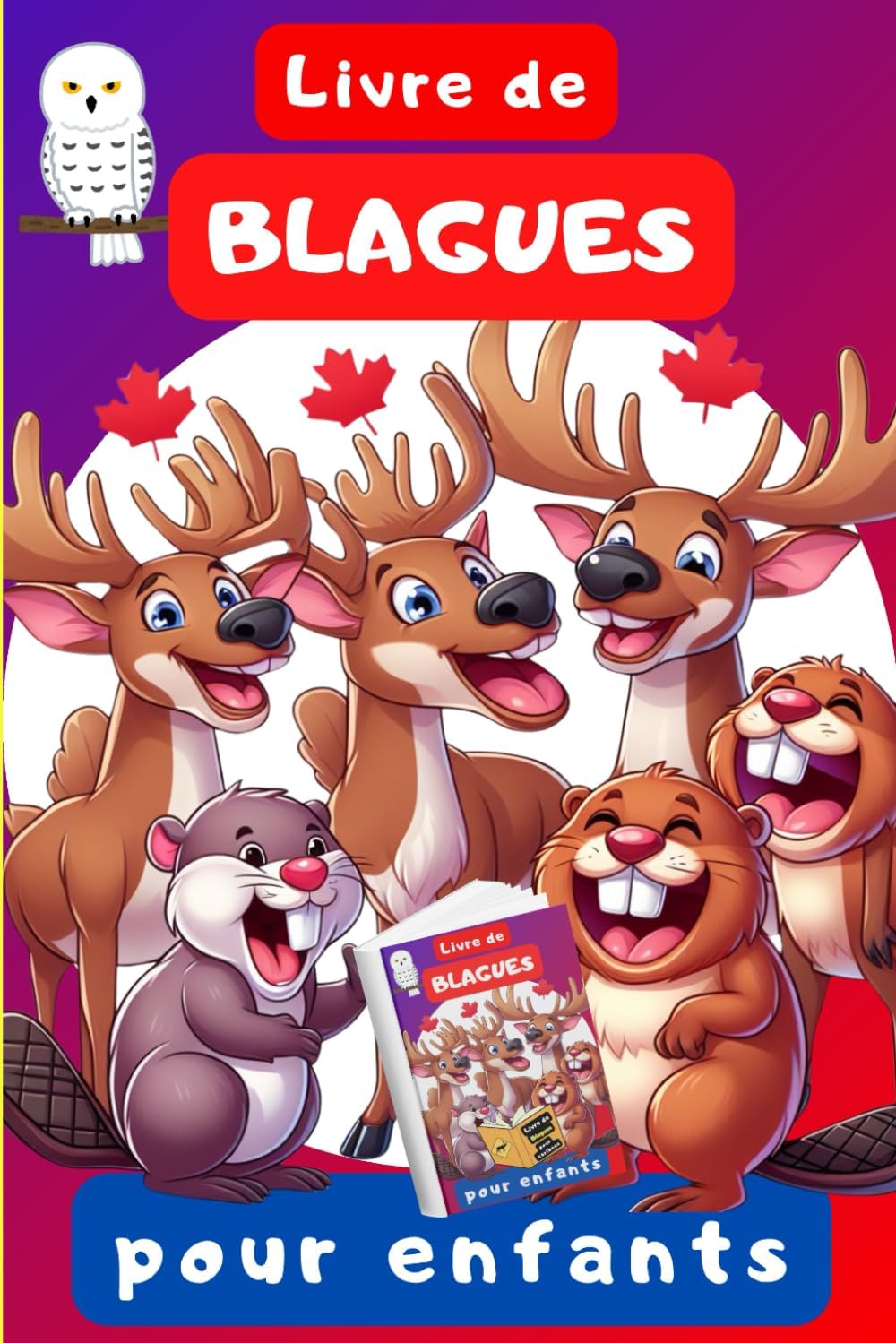 Vue 5 de La Decouverte Des