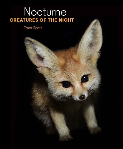Nocturne Creatures Of The