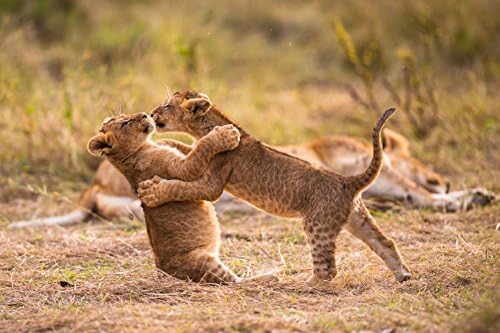 Vue 2 de Le Voyage De La