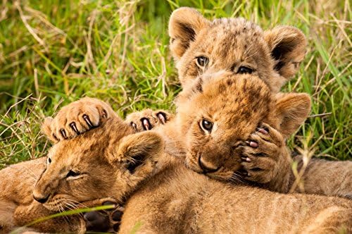 Vue 3 de Le Voyage De La