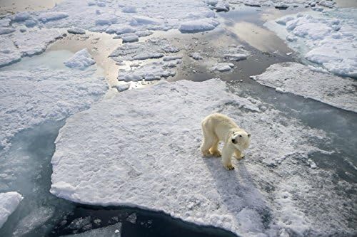 Vue 3 de Predateurs Bluray